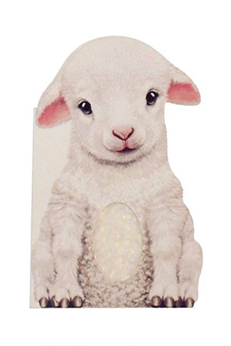 Furry Lamb Board Book