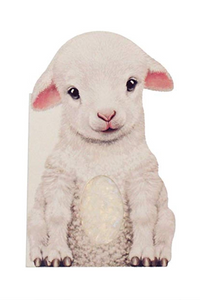 Furry Lamb Board Book
