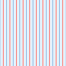 Load image into Gallery viewer, James Swim - Patriotic Stripe