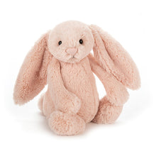 Load image into Gallery viewer, Bashful Bunny Medium - MORE COLORS