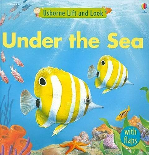 Lift And Look Under the Sea